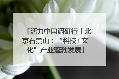 活力中国调研行丨北京石景山：“科技+文化”产业蓬勃发展