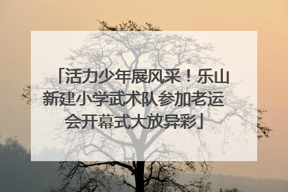 活力少年展风采！乐山新建小学武术队参加老运会开幕式大放异彩