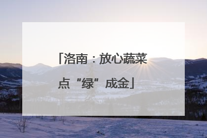 洛南：放心蔬菜点“绿”成金