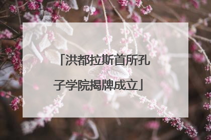 洪都拉斯首所孔子学院揭牌成立
