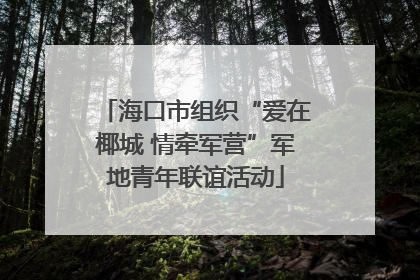 海口市组织“爱在椰城 情牵军营”军地青年联谊活动