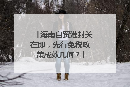 海南自贸港封关在即，先行免税政策成效几何？