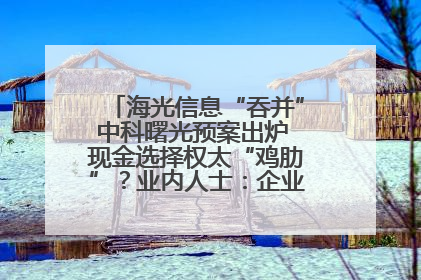 海光信息“吞并”中科曙光预案出炉 现金选择权太“鸡肋”？业内人士：企业不想大量现金流出