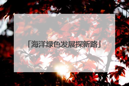 海洋绿色发展探新路