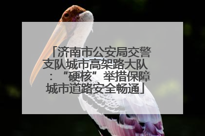 济南市公安局交警支队城市高架路大队：“硬核”举措保障城市道路安全畅通