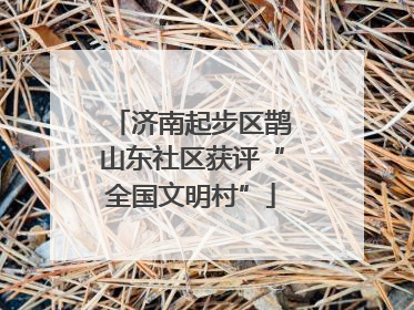 济南起步区鹊山东社区获评“全国文明村”