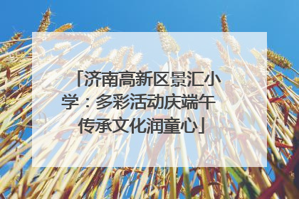济南高新区景汇小学：多彩活动庆端午 传承文化润童心