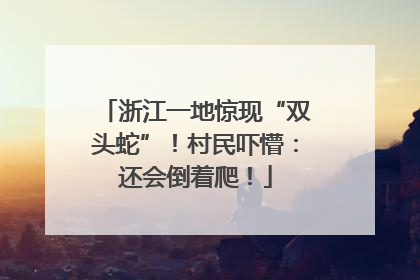 浙江一地惊现“双头蛇”！村民吓懵：还会倒着爬！