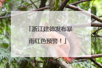 浙江建德发布暴雨红色预警！