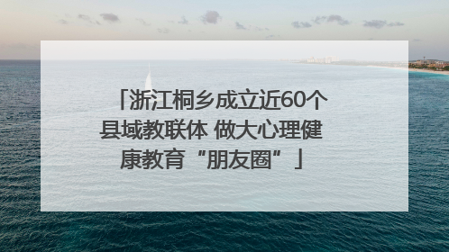 浙江桐乡成立近60个县域教联体 做大心理健康教育“朋友圈”