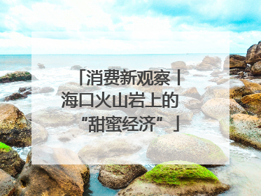 消费新观察丨海口火山岩上的“甜蜜经济”