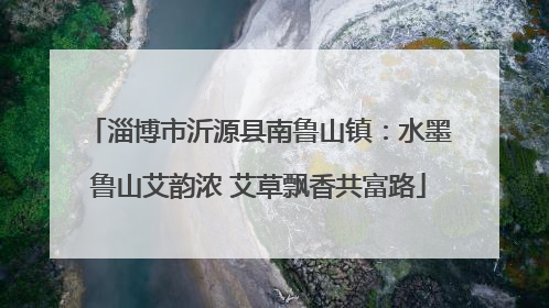 淄博市沂源县南鲁山镇：水墨鲁山艾韵浓 艾草飘香共富路