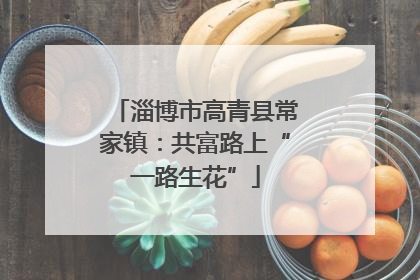 淄博市高青县常家镇：共富路上“一路生花”