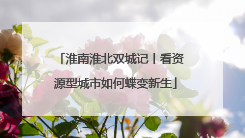 淮南淮北双城记丨看资源型城市如何蝶变新生