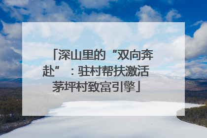 深山里的“双向奔赴”：驻村帮扶激活茅坪村致富引擎
