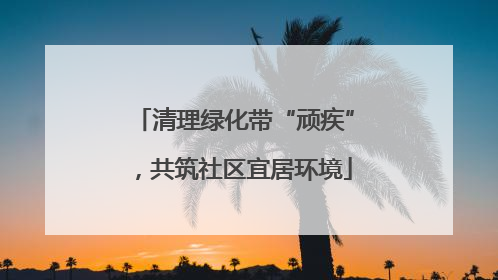 清理绿化带“顽疾”，共筑社区宜居环境