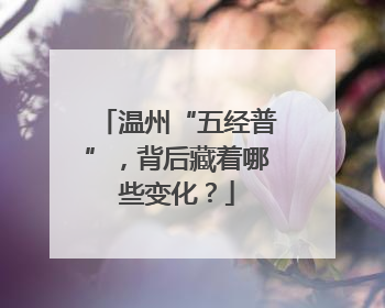 温州“五经普”，背后藏着哪些变化？