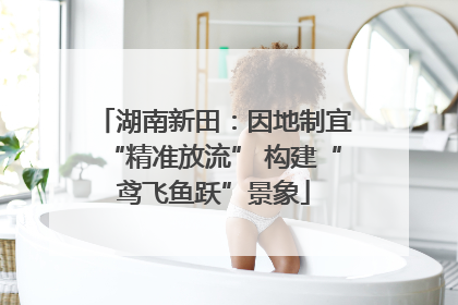 湖南新田：因地制宜“精准放流” 构建“鸢飞鱼跃”景象