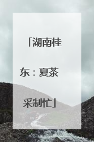 湖南桂东：夏茶采制忙