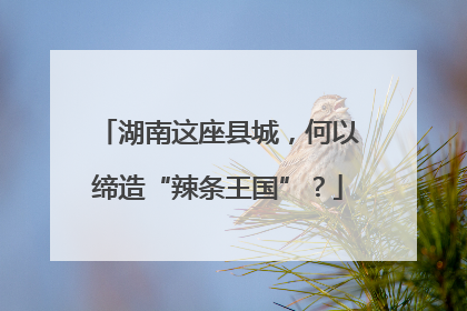湖南这座县城，何以缔造“辣条王国”？