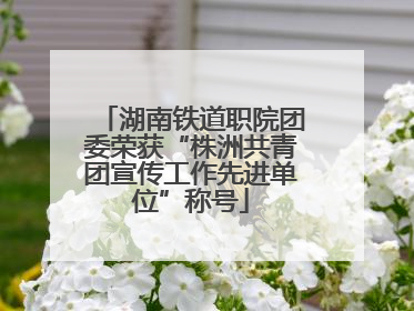 湖南铁道职院团委荣获“株洲共青团宣传工作先进单位”称号