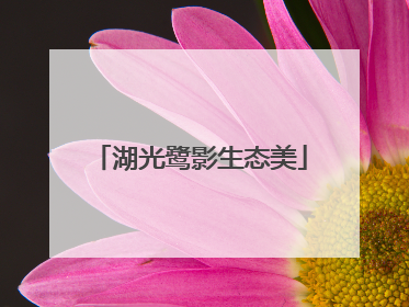 湖光鹭影生态美