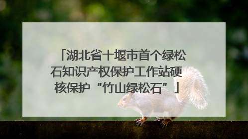 湖北省十堰市首个绿松石知识产权保护工作站硬核保护“竹山绿松石”