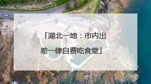 湖北一地：市内出差一律自费吃食堂