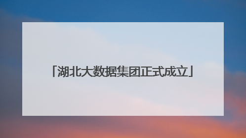 湖北大数据集团正式成立