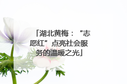 湖北黄梅：“志愿红”点亮社会服务的温暖之光