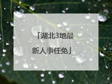 湖北3地最新人事任免