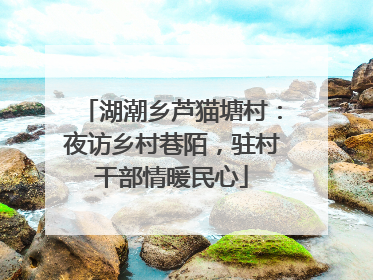 湖潮乡芦猫塘村：夜访乡村巷陌，驻村干部情暖民心