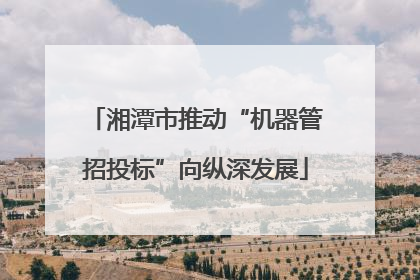 湘潭市推动“机器管招投标”向纵深发展