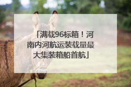 满载96标箱！河南内河航运装载量最大集装箱船首航