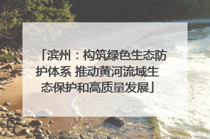 滨州：构筑绿色生态防护体系 推动黄河流域生态保护和高质量发展