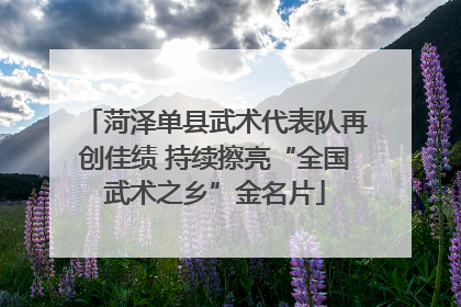 菏泽单县武术代表队再创佳绩 持续擦亮“全国武术之乡”金名片