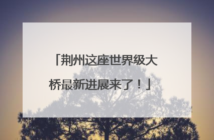 荆州这座世界级大桥最新进展来了！