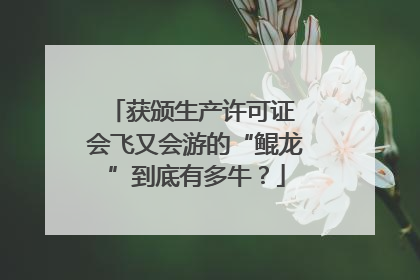 获颁生产许可证 会飞又会游的“鲲龙”到底有多牛？