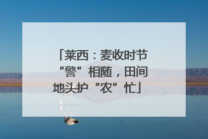 莱西：麦收时节“警”相随，田间地头护“农”忙