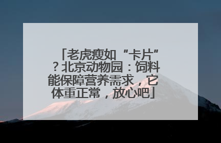 老虎瘦如“卡片”？北京动物园：饲料能保障营养需求，它体重正常，放心吧