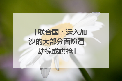 联合国：运入加沙的大部分面粉遭劫掠或哄抢