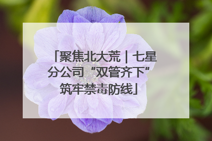 聚焦北大荒｜七星分公司“双管齐下”筑牢禁毒防线