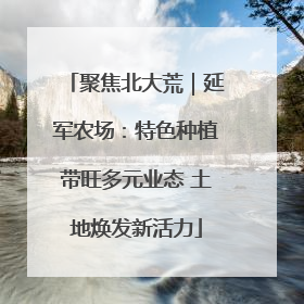聚焦北大荒｜延军农场：特色种植带旺多元业态 土地焕发新活力