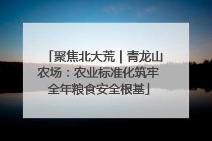 聚焦北大荒｜青龙山农场：农业标准化筑牢全年粮食安全根基