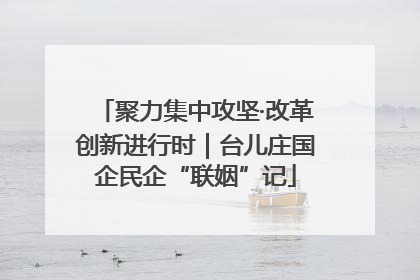 聚力集中攻坚·改革创新进行时｜台儿庄国企民企“联姻”记