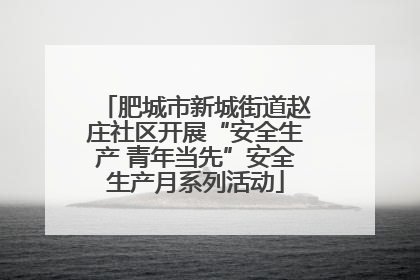肥城市新城街道赵庄社区开展“安全生产 青年当先”安全生产月系列活动