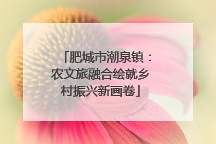 肥城市潮泉镇：农文旅融合绘就乡村振兴新画卷