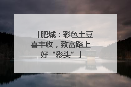 肥城：彩色土豆喜丰收，致富路上好“彩头”