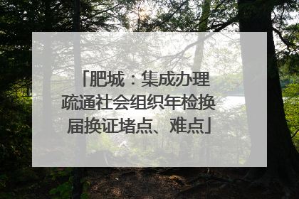 肥城：集成办理 疏通社会组织年检换届换证堵点、难点
