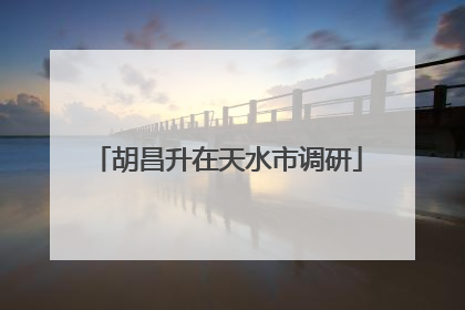 胡昌升在天水市调研
